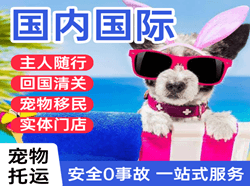 阿勒泰雪都空运代理国际宠物托运 【国