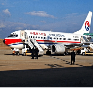 阿勒泰雪都空运代理航空快运业稳步发展的原因是什么？
